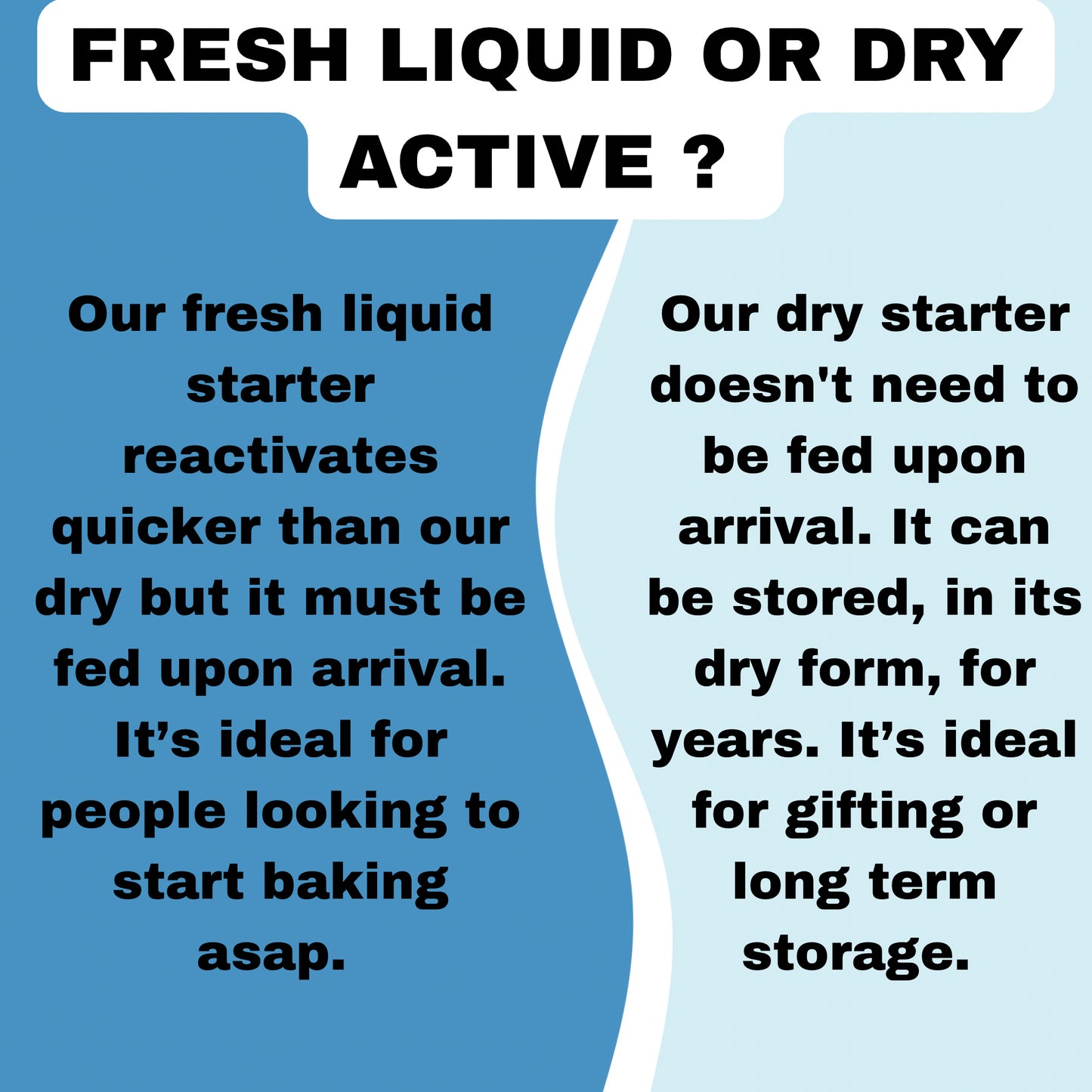 1 OZ of our 1916 San Francisco Sourdough Starter -Fresh -Liquid