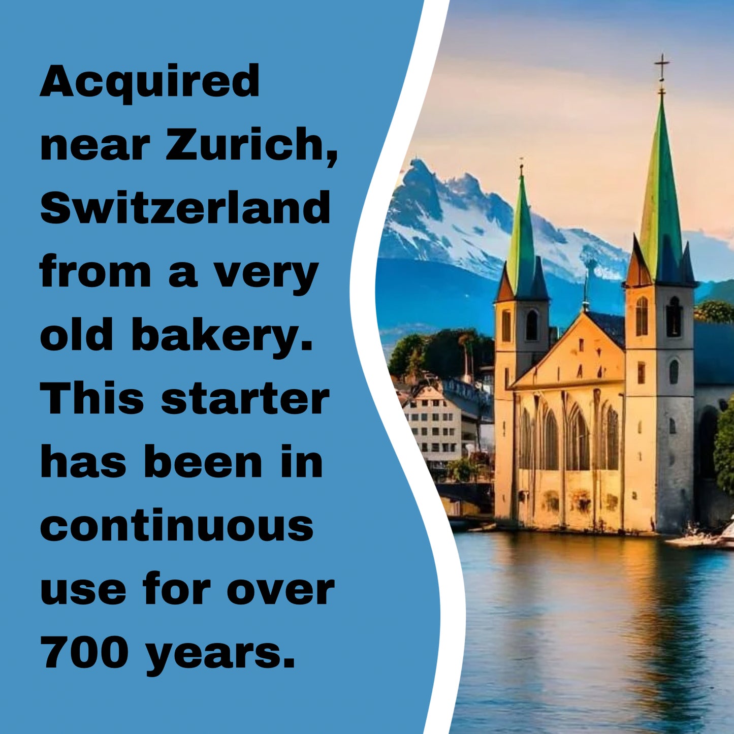 Private Collection - 2 Pack (24 grams) of our 700 year old Swiss Sourdough Starter - DRY