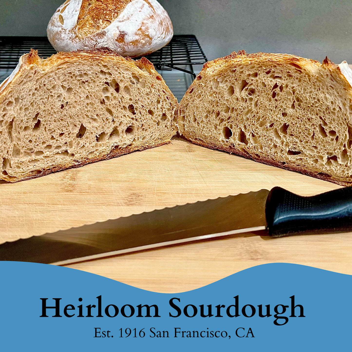 1 OZ of our 1916 San Francisco Sourdough Starter -Fresh -Liquid
