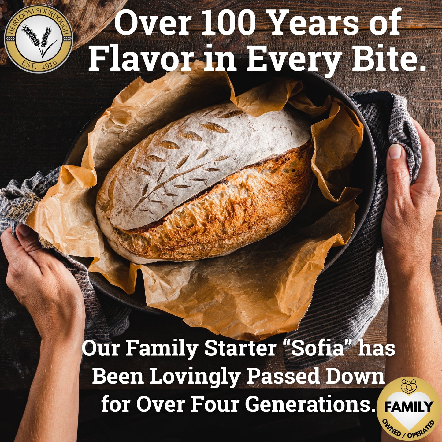 4 Packs - (48 Grams) of our 1916 San Francisco Sourdough Starter - DRY