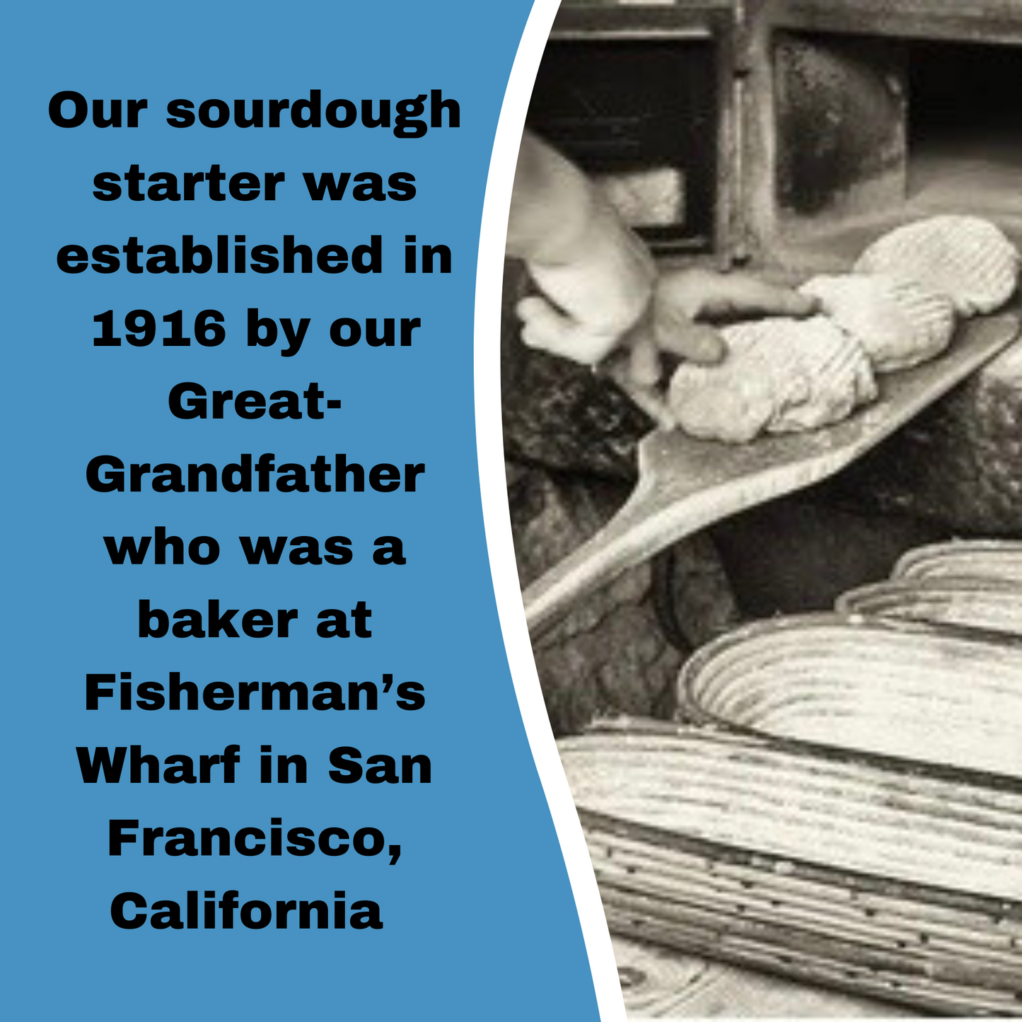 3 Packs - (36 Grams) of our 1916 San Francisco Sourdough Starter - DRY