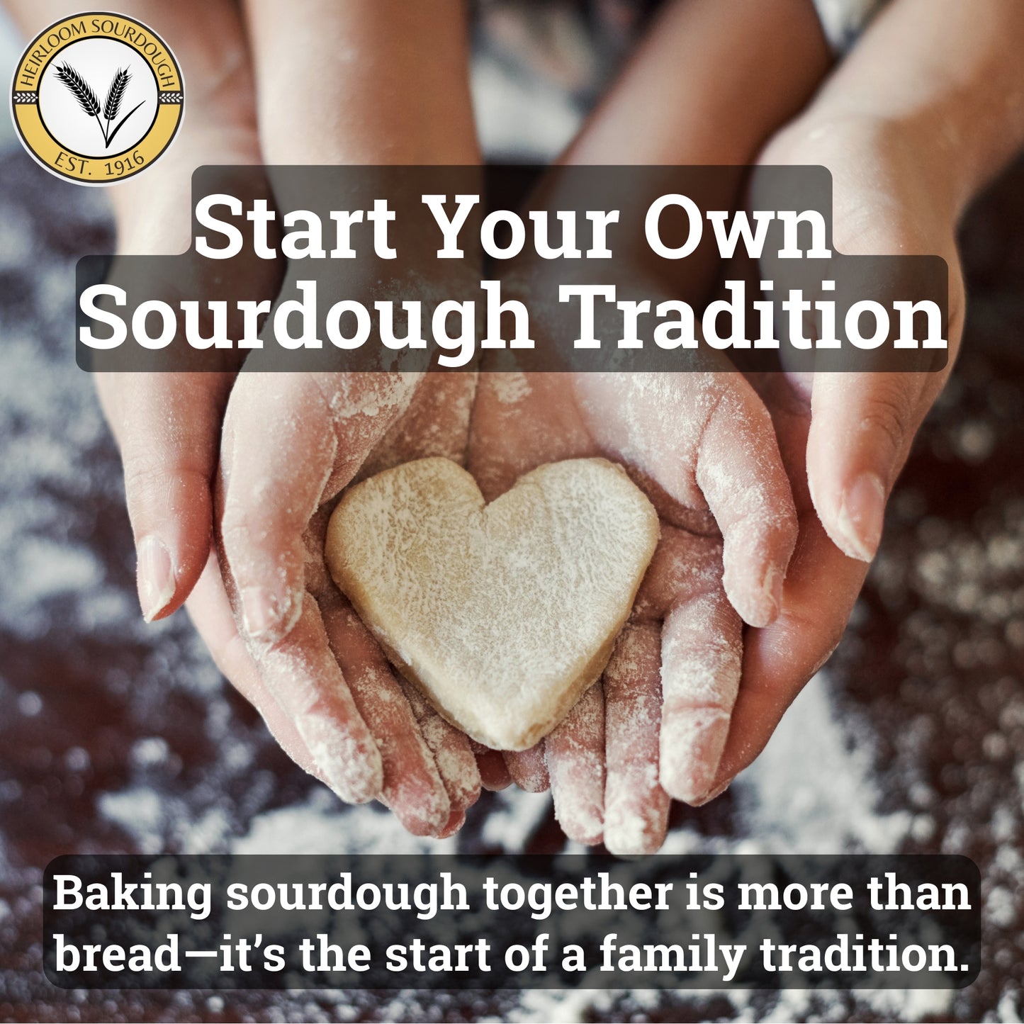 4 Packs - (48 Grams) of our 1916 San Francisco Sourdough Starter - DRY