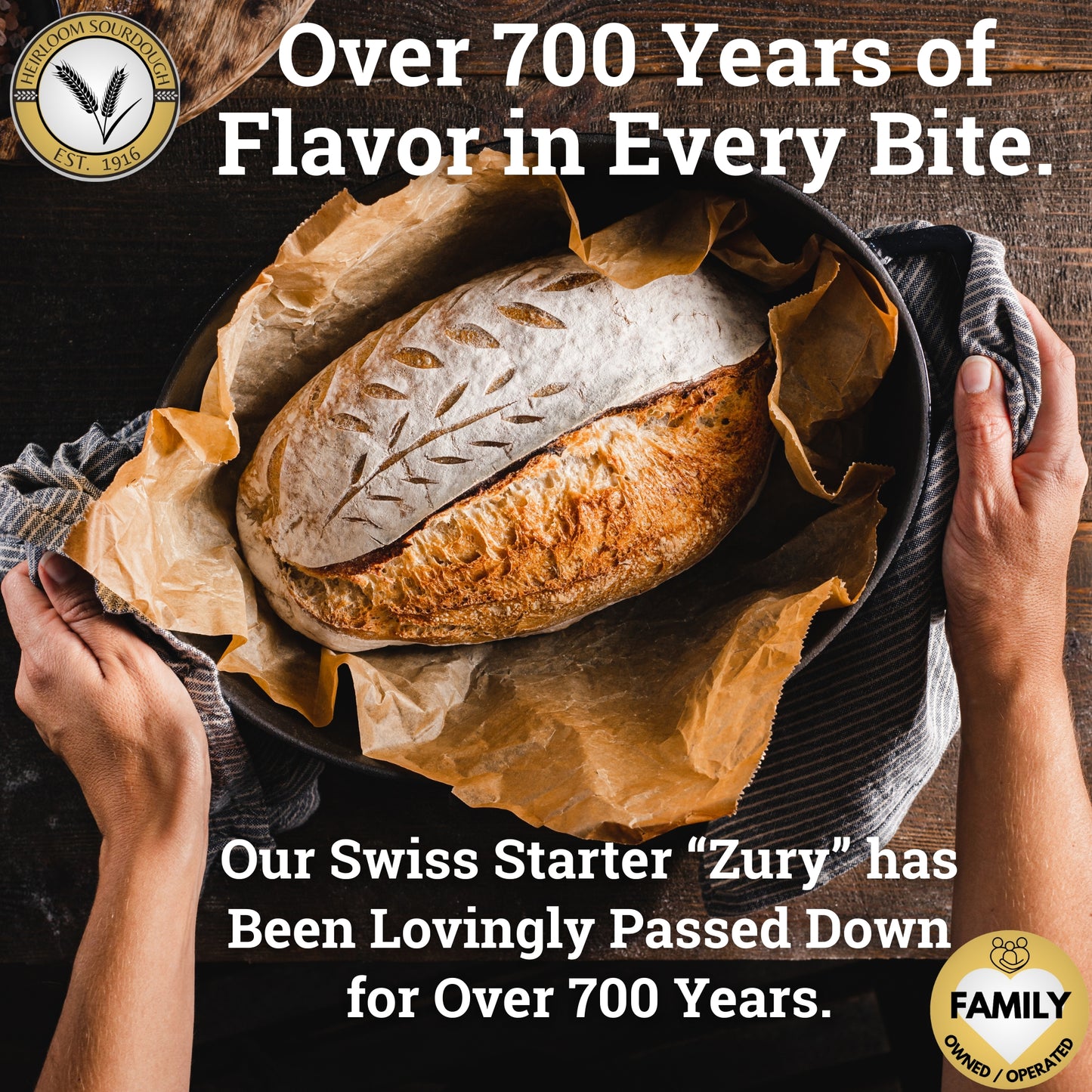 Private Collection - 3 Pack (36 grams) of our 700 year old Swiss Sourdough Starter - DRY